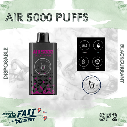 SP2 Air 5000 Disposable Vape – Blackcurrant – Buy in Singapore | SG Vape House QQ 443